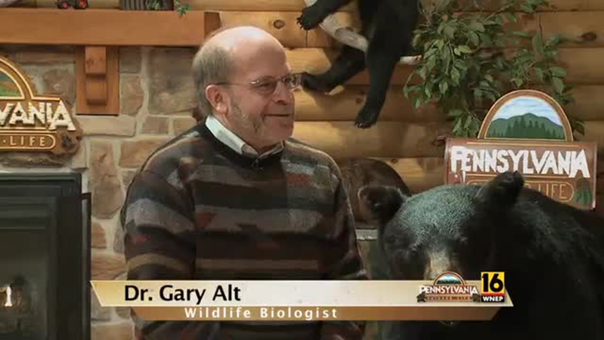 Dr. Gary Alt Interview