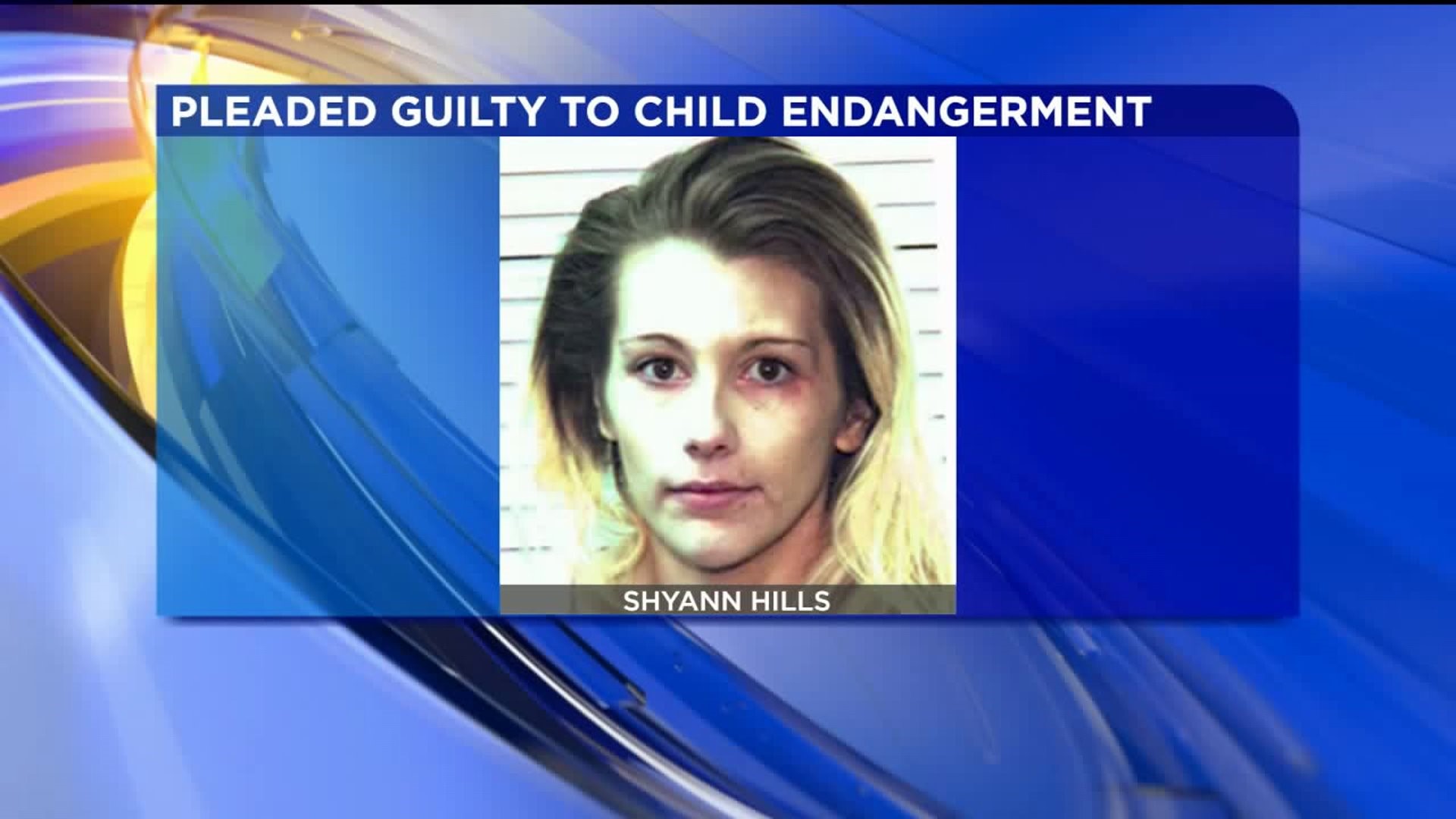 Babysitter Admits to Child Abuse Charges