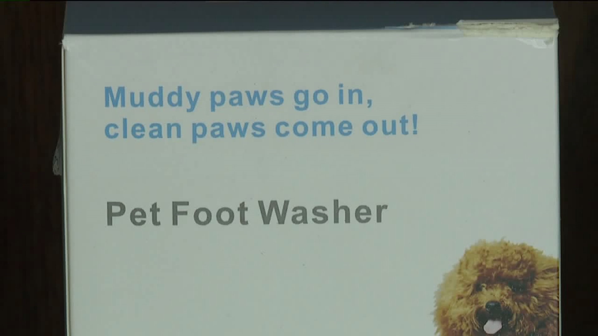 Does It Really Work: Paw Legend Mudbuster