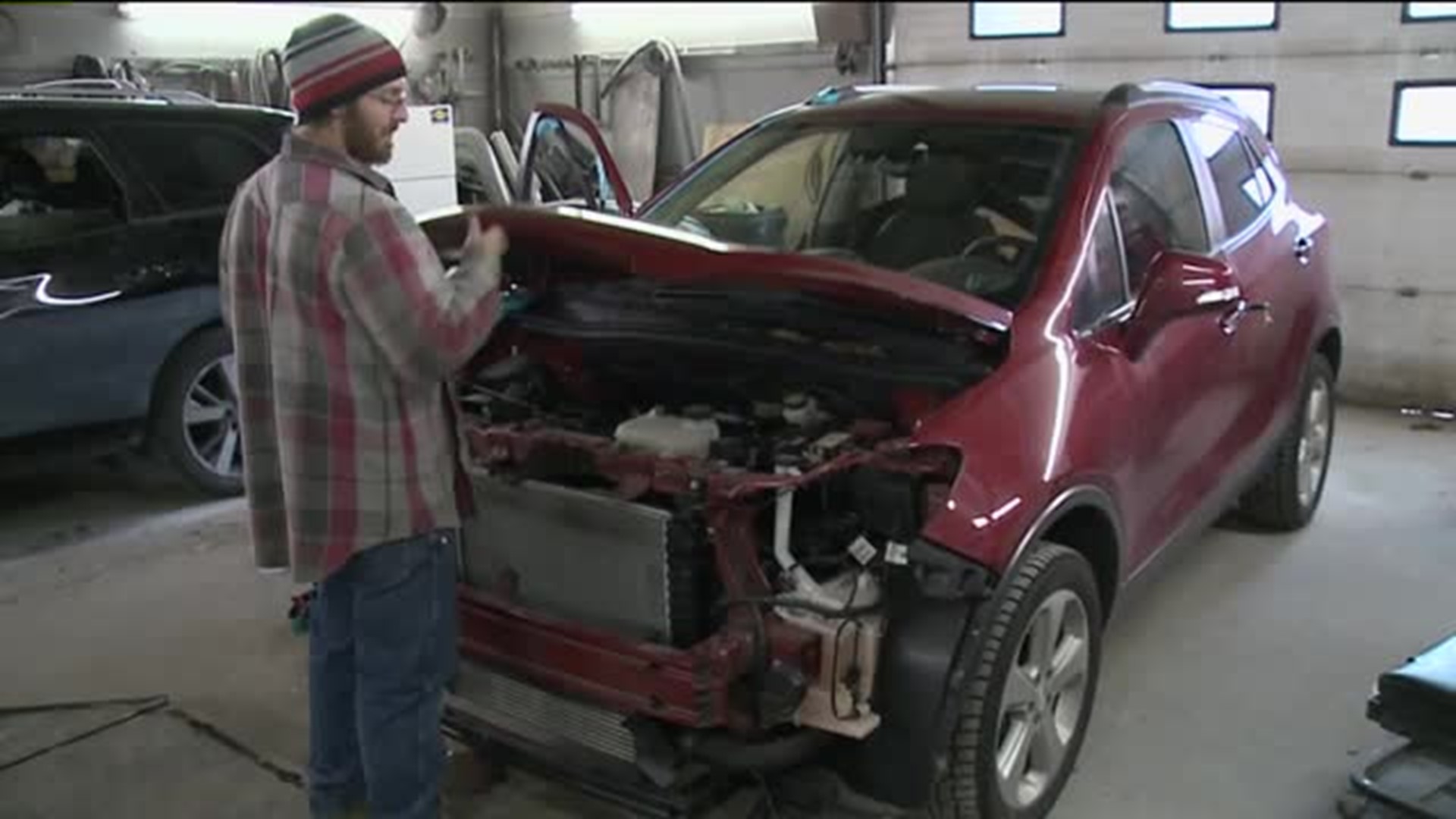 Deer Hit Epidemic: Repair Shops Jammed, Car Rentals Unavailable