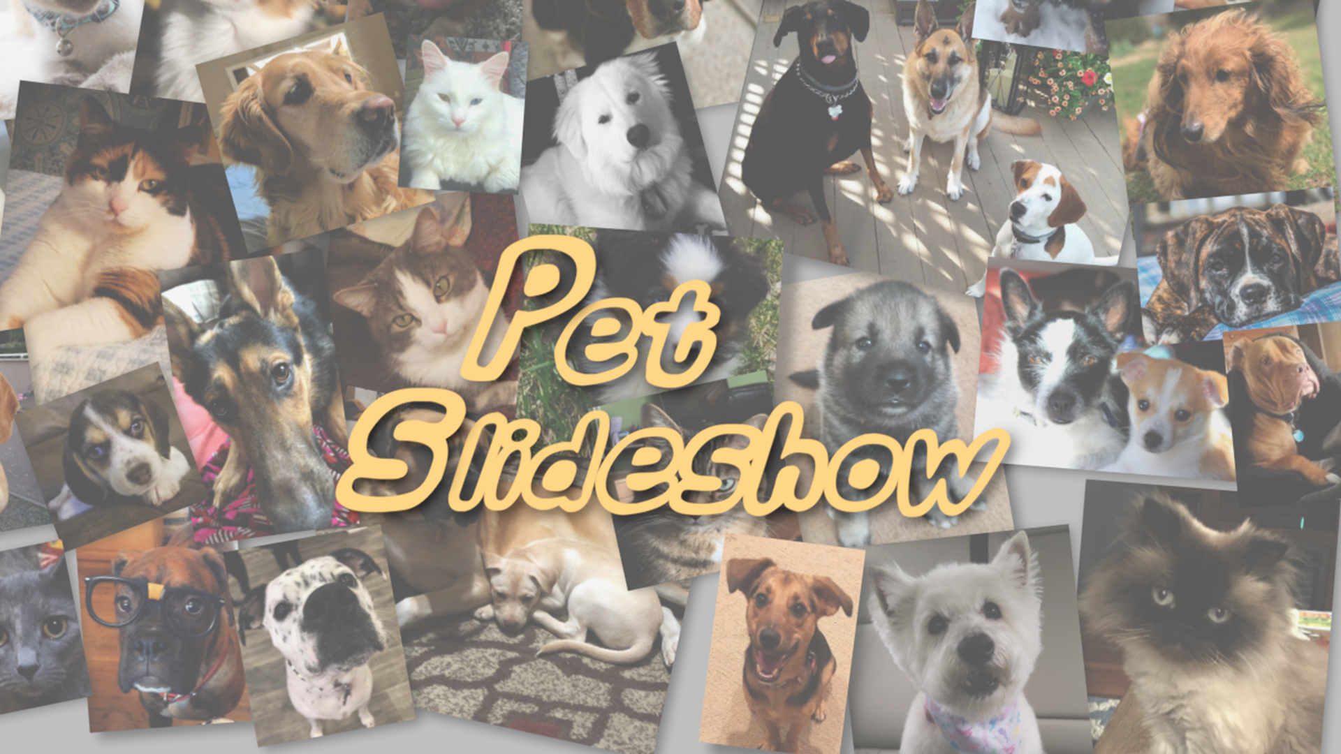 Here are just a few of the adorable pet photos shared with us by viewers. See more photos in the Pet Slideshow below.