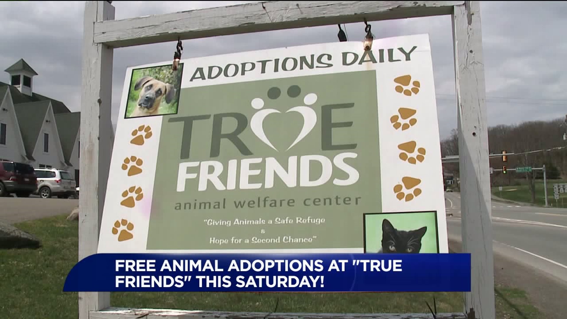Free Pet Adoptions This Weekend