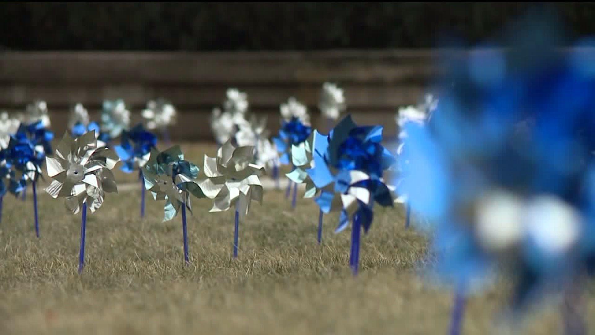 Hundreds of Pinwheels on Courthouse Lawn in Honor of Child Abuse Victims