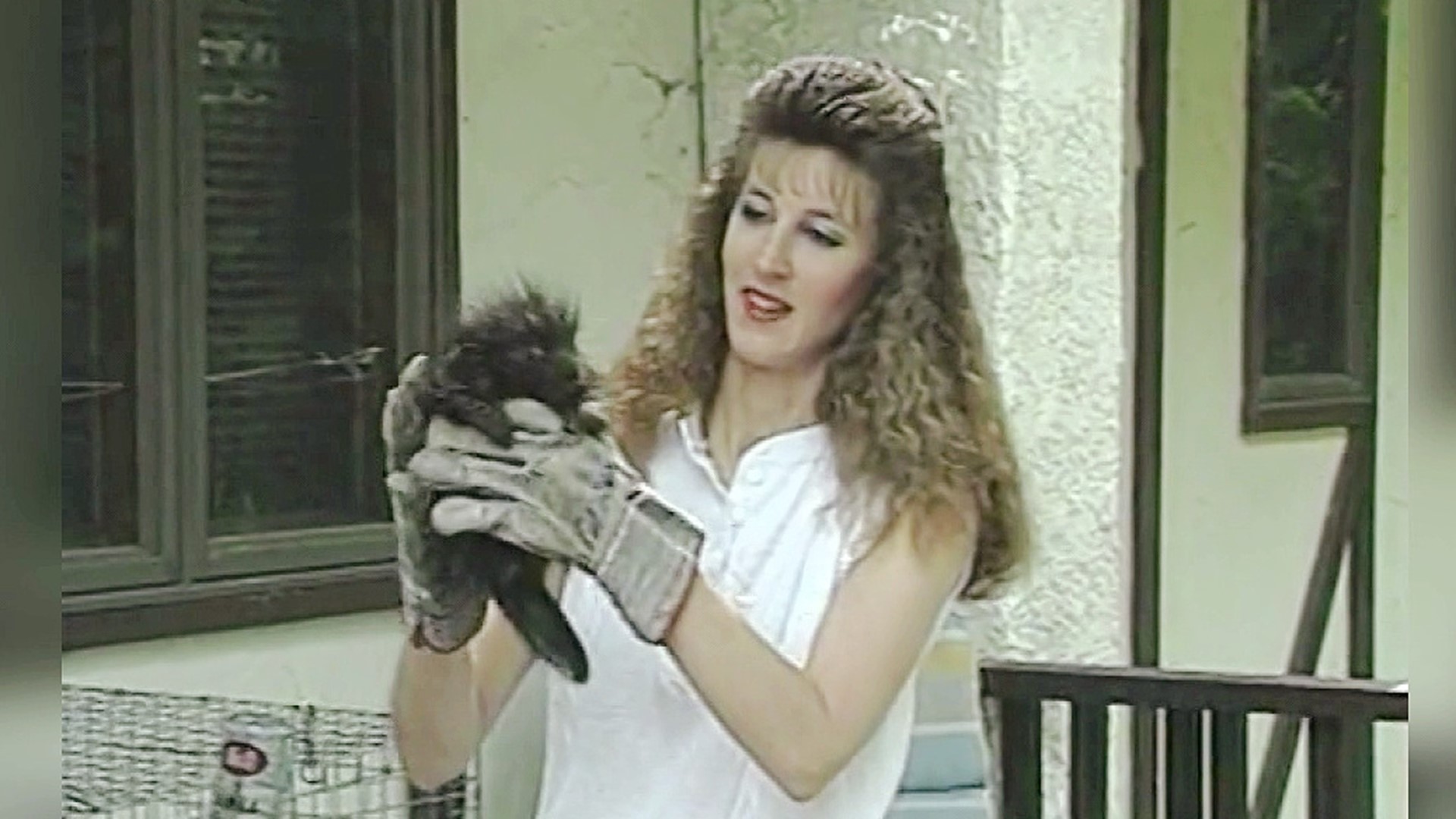 Mike Stevens takes us back to 1991, to a fledgling animal rehab center.