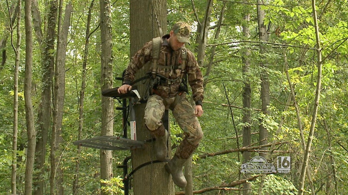Tree Stand Safety | wnep.com