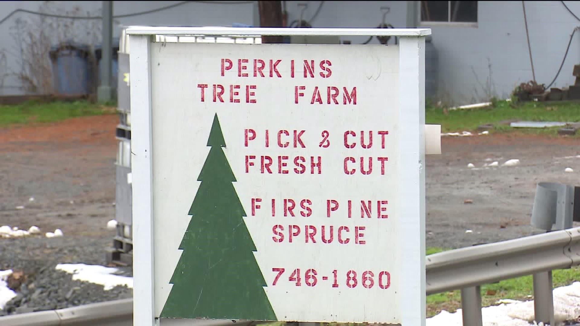 Saying Goodbye to Perkins Christmas Tree Farm