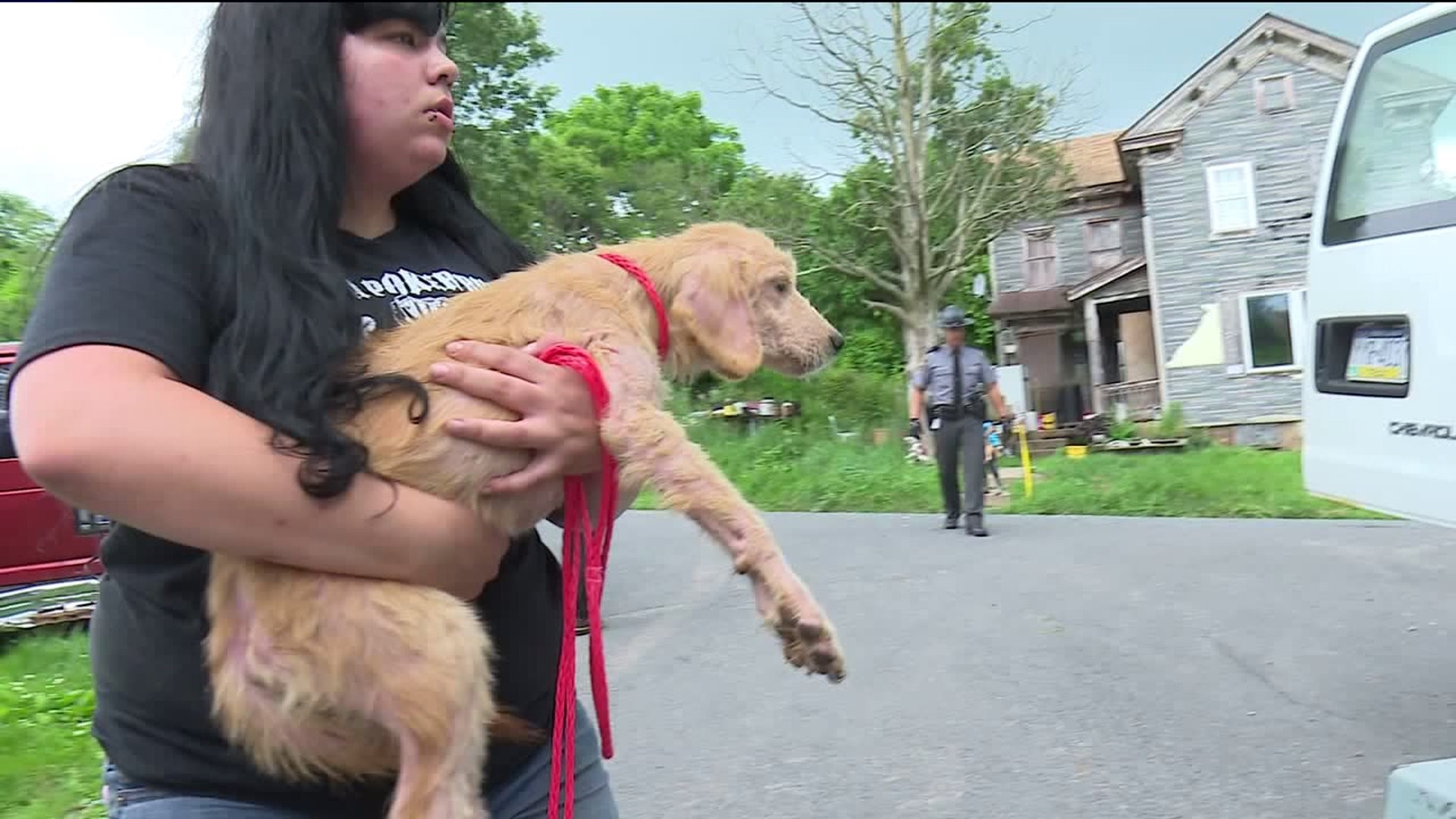 Dozens of Pets Rescued from Filthy Home in Schuylkill County