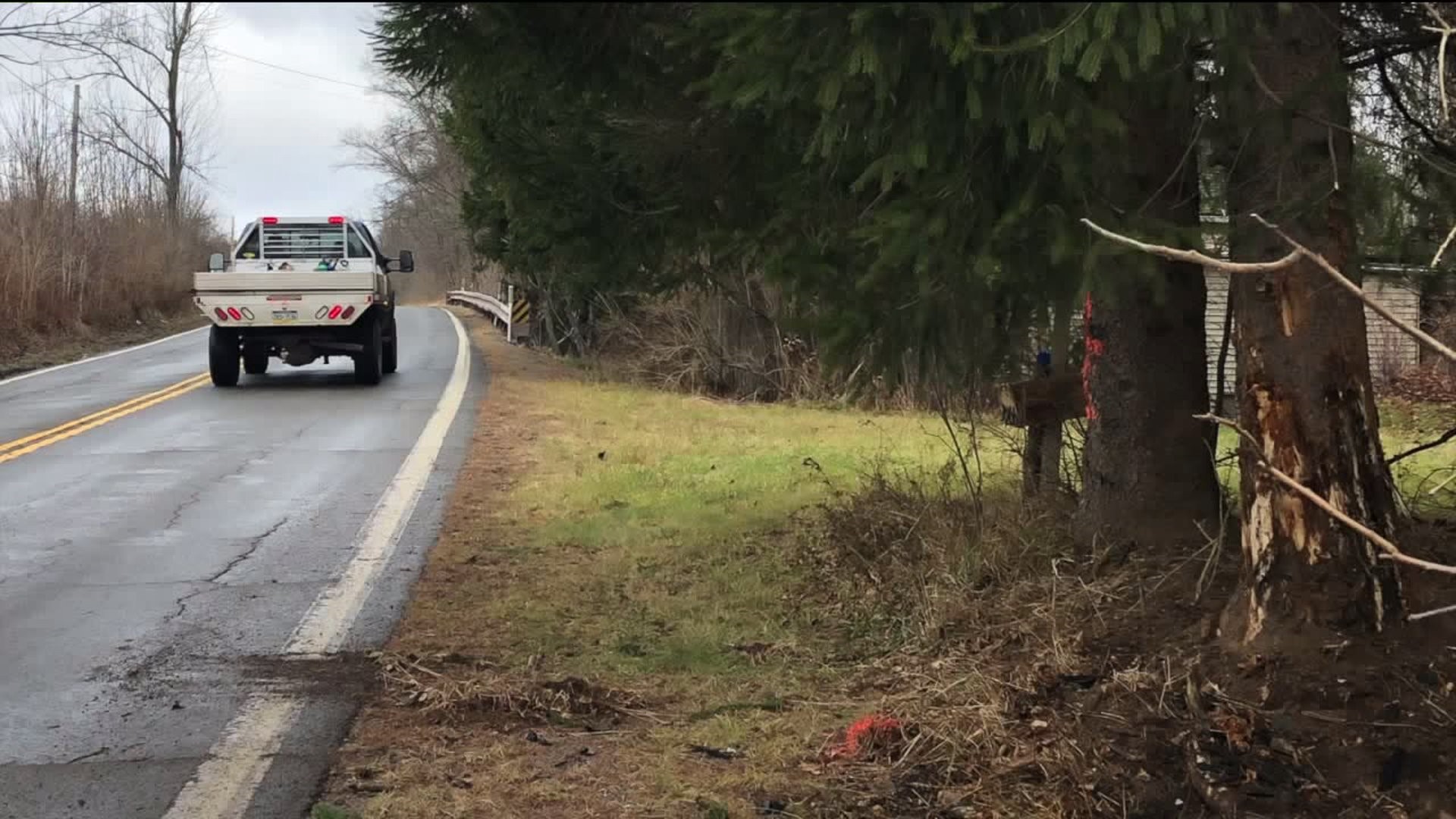 Wayne County Man Dies in Crash