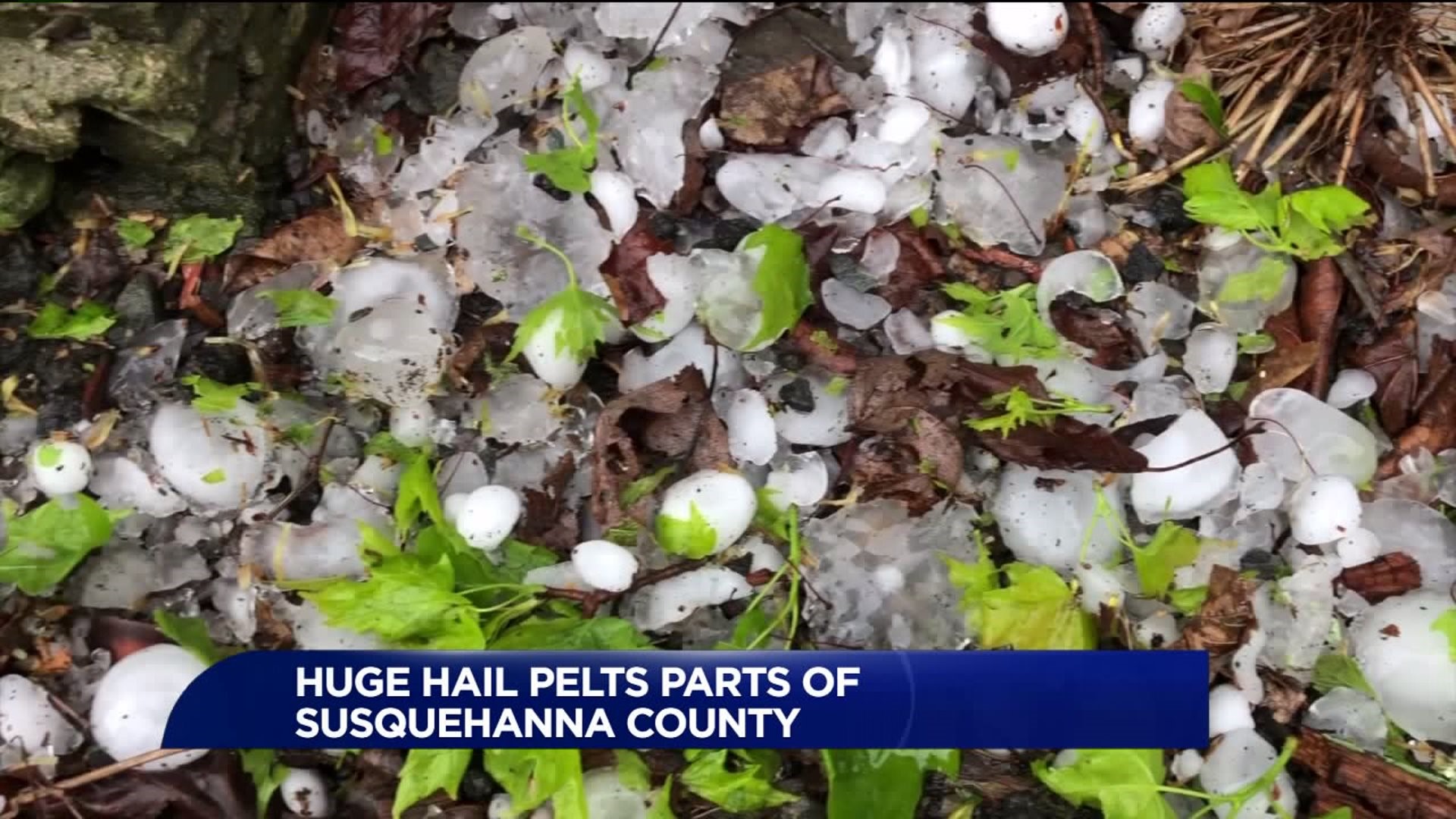Huge Hail Pelts Parts of Susquehanna County