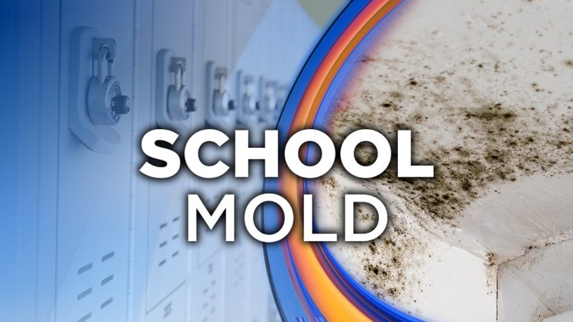 Mold Closes Elementary School in Pottsville
