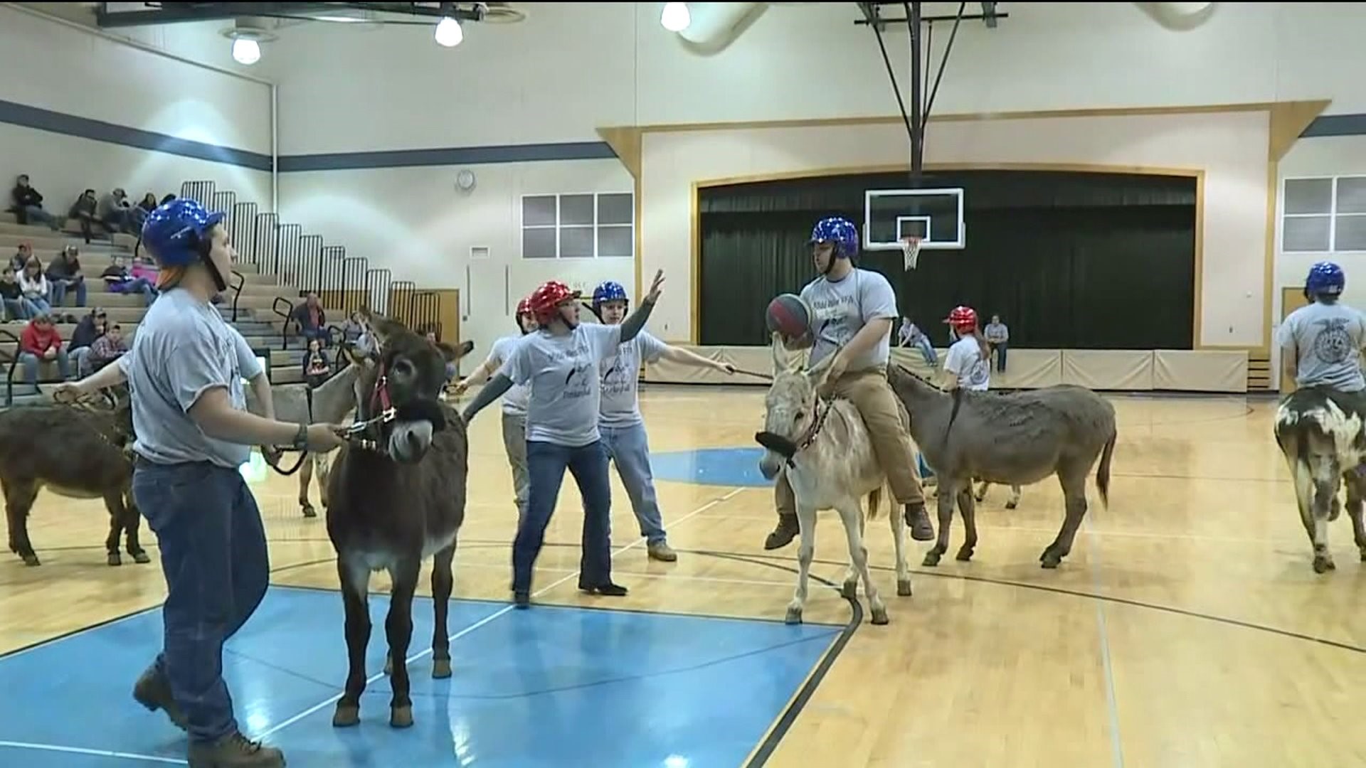 Donkey Basketball in Snyder County