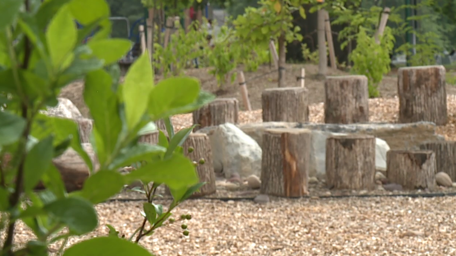 A natural play area in Williamsport opened up earlier this year but because of the ongoing pandemic, not many people know about it.