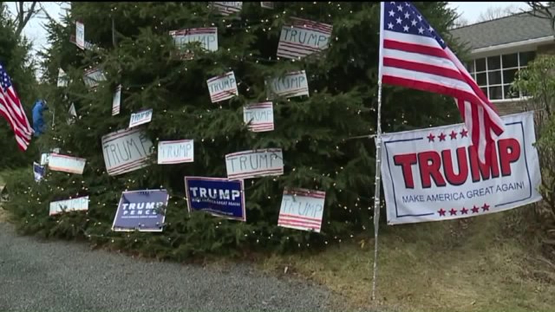 "Trump Tree" Honors 45th President in Mountain Top