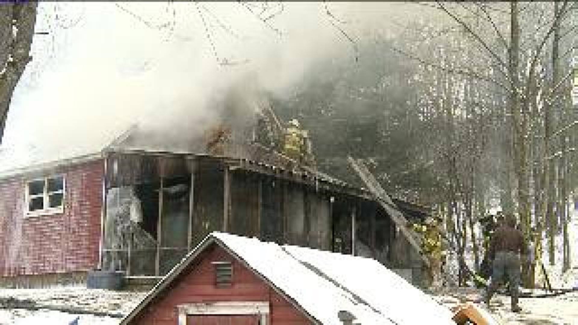Home Destroyed by Fire, Possibly Caused by Stray Dog