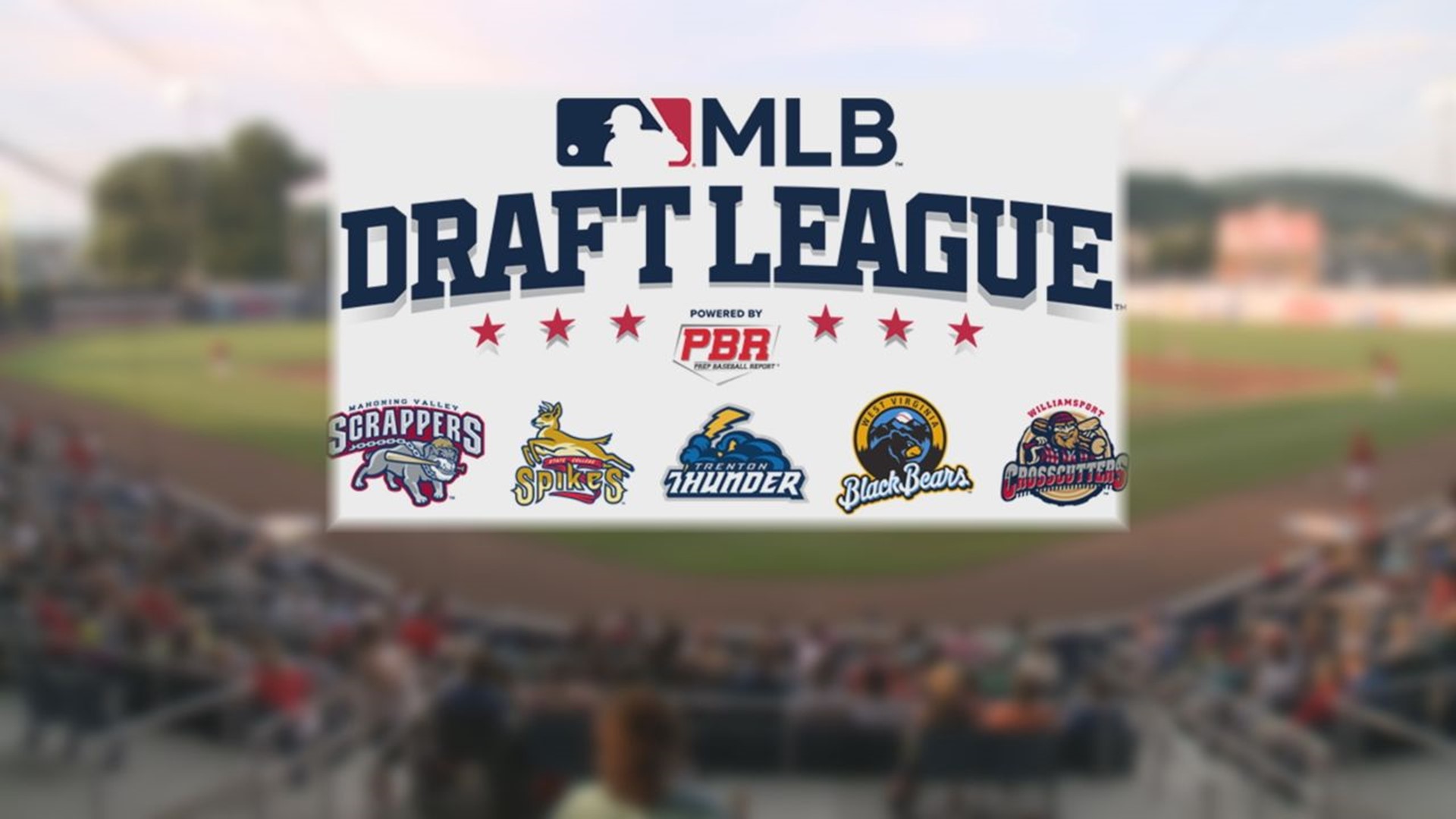 mlb draft league