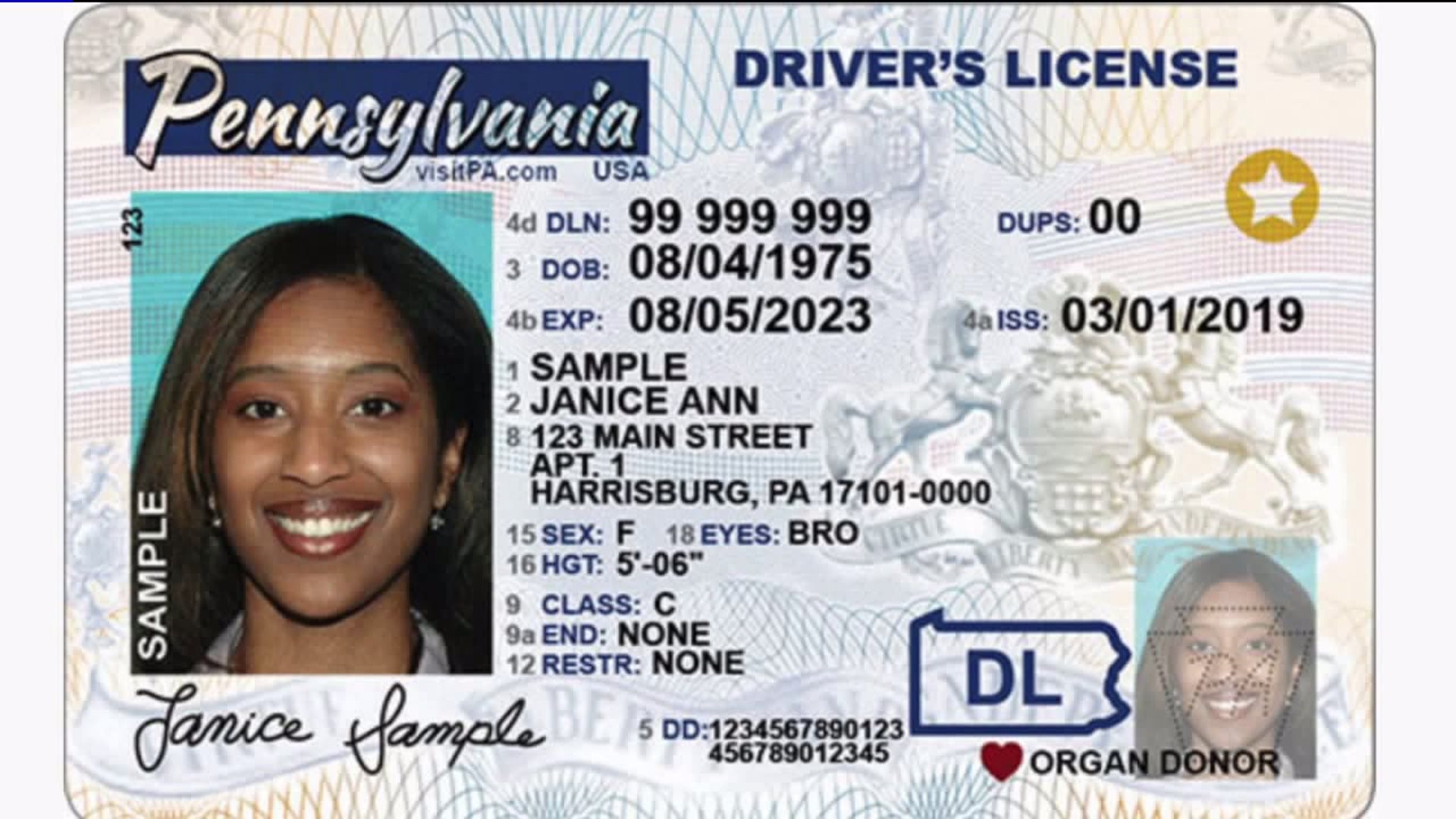 Rolling Out Real ID