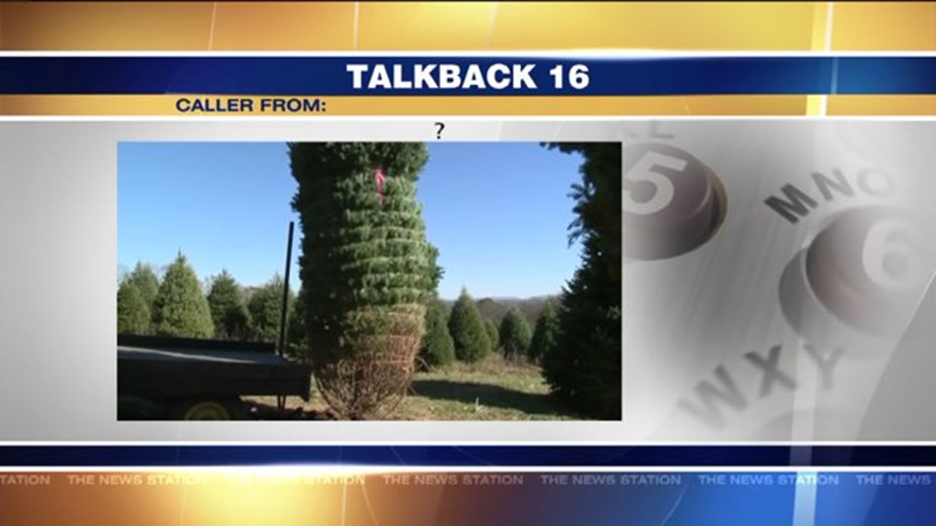 Talkback 16: Animal Cruelty, Tree Cruelty