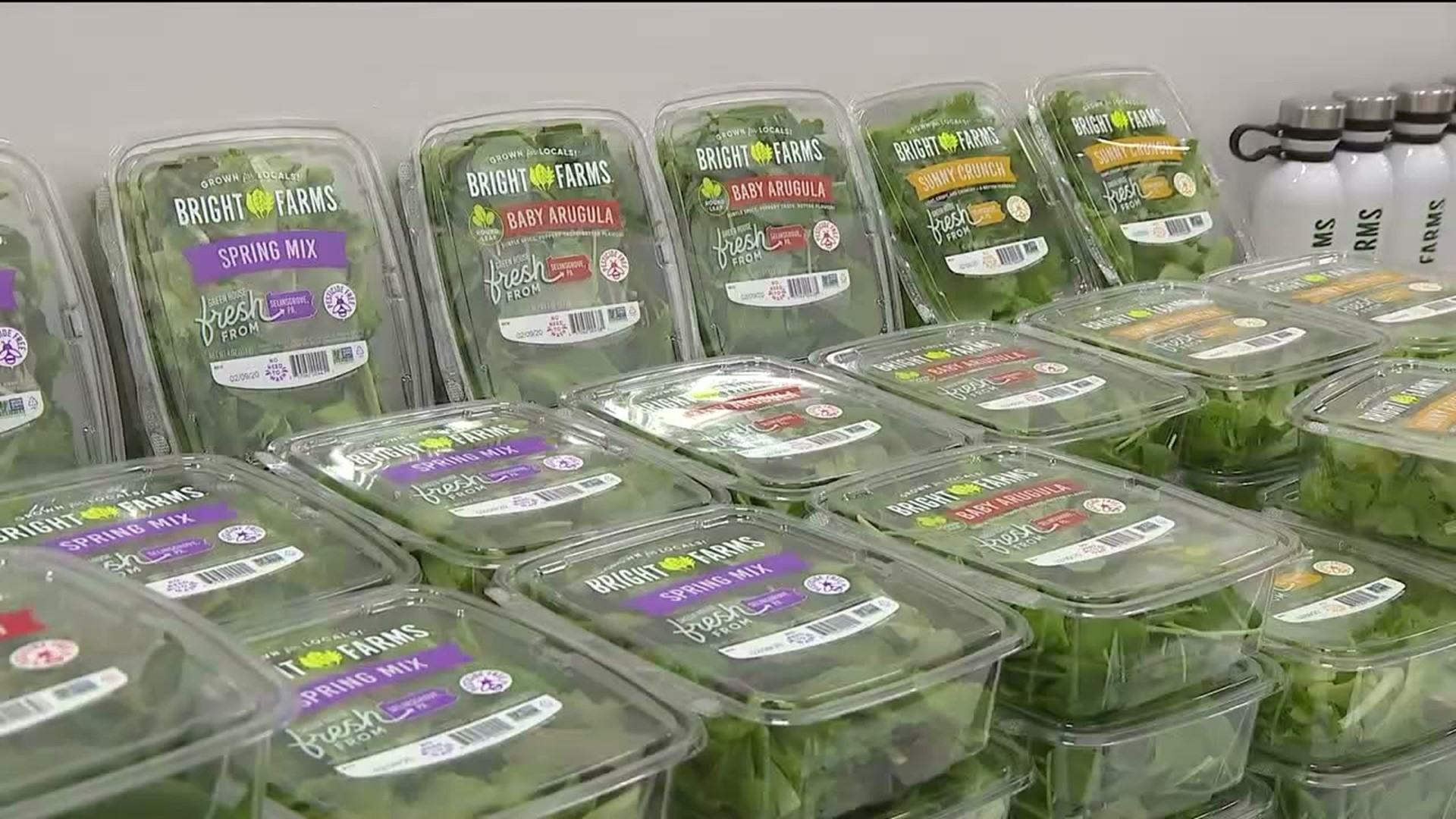 BrightFarms is giving away free salad to health care workers and first responders.