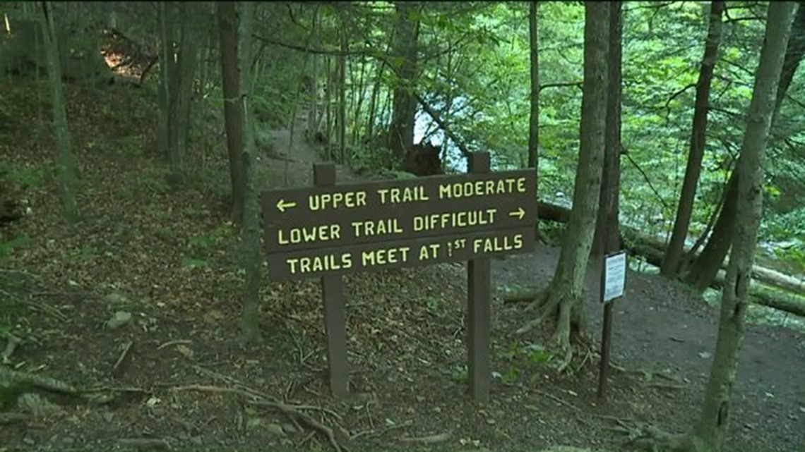 Scranton Man Dead After Fall at Ricketts Glen