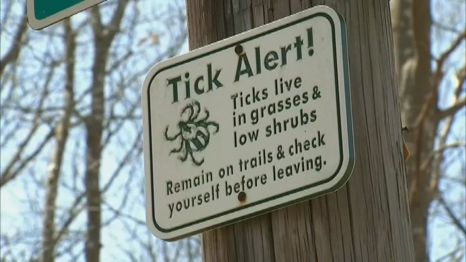 An infectious disease specialist with UMPC Susquehanna offers tips on this year's tick season and how it relates to COVID-19.