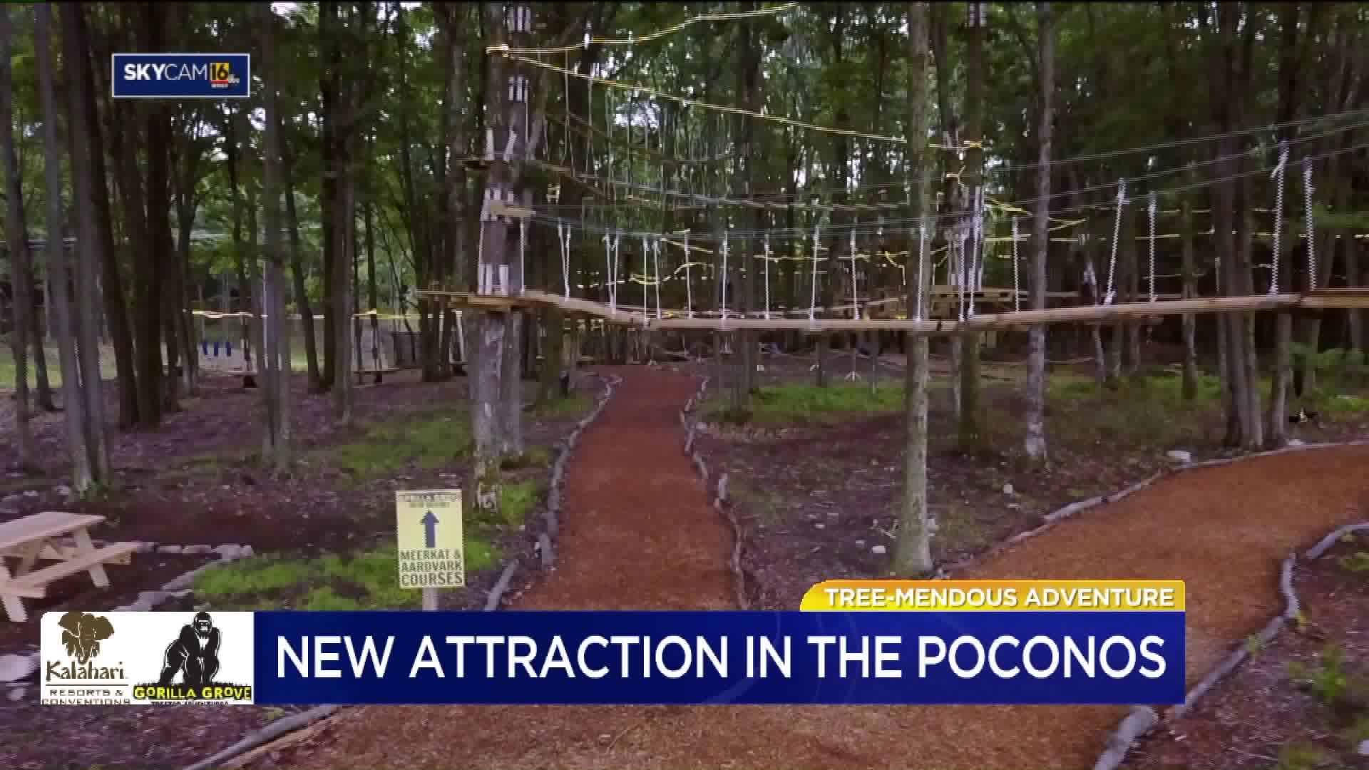 Spice Up Your Summer: New Attraction Hits Poconos