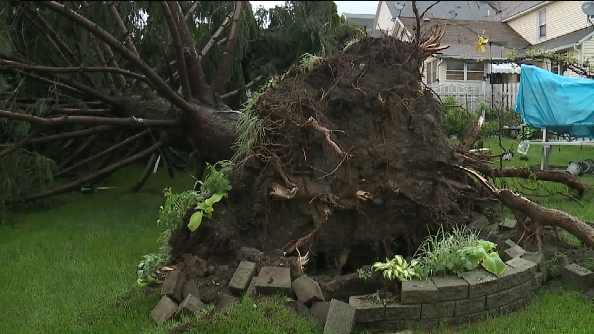 Luzerne County Neighborhood Heavily Damaged by Storm