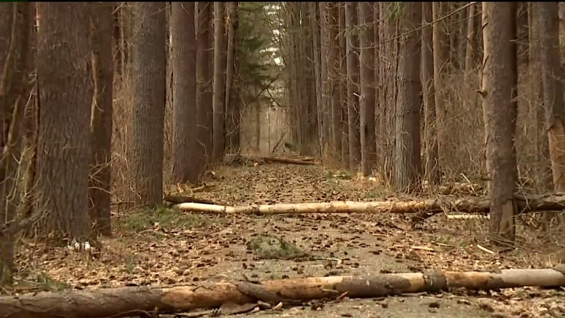 Trails Remain Closed at Delaware Water Gap Recreation Area