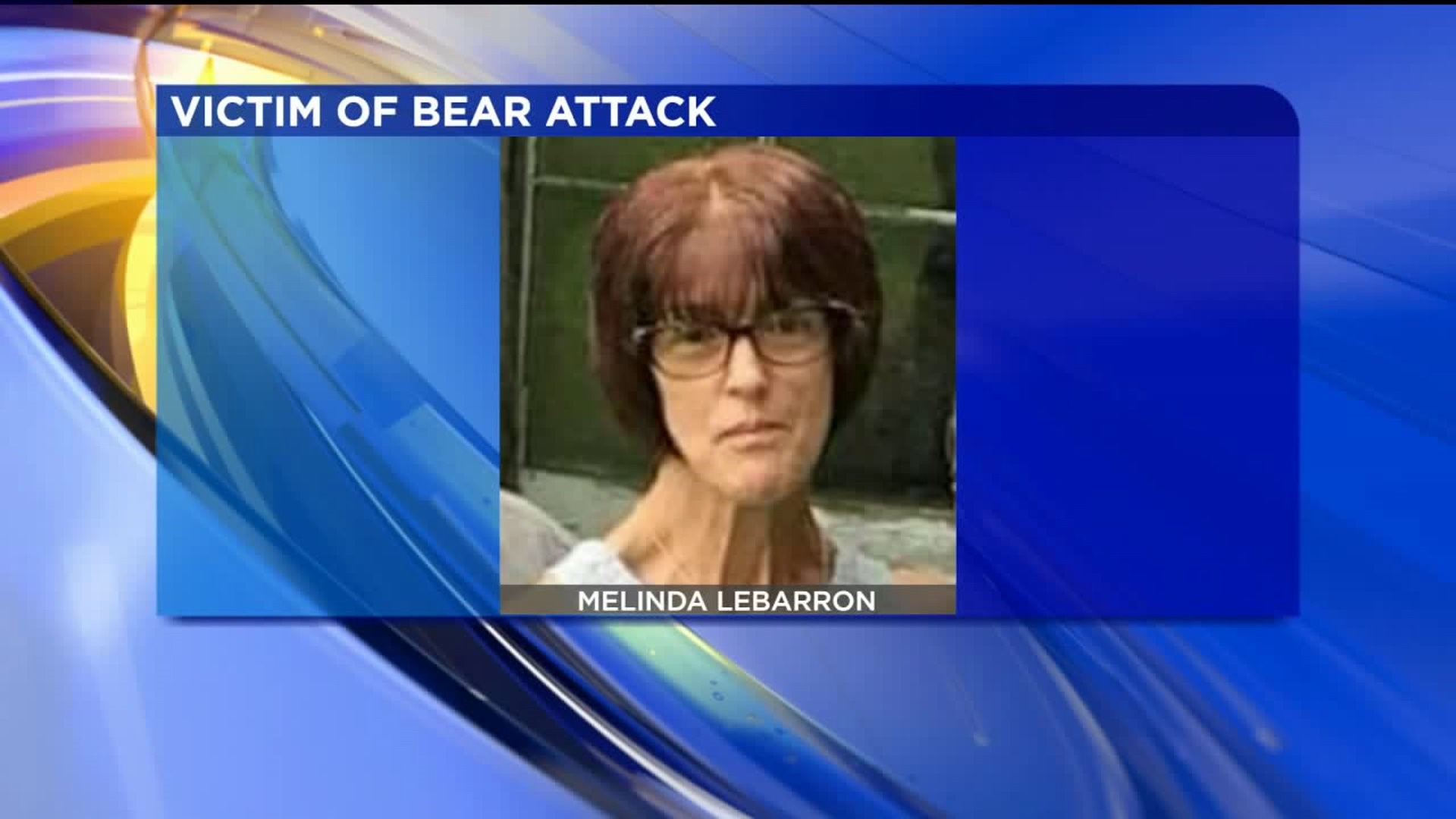 Victim of Bear Attack in Lycoming County Improving
