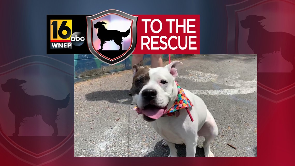 16 To The Rescue Snowflake