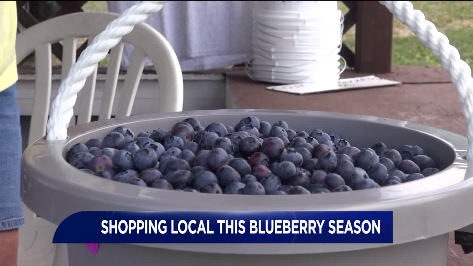 A 'Berry' Good Blueberry Season