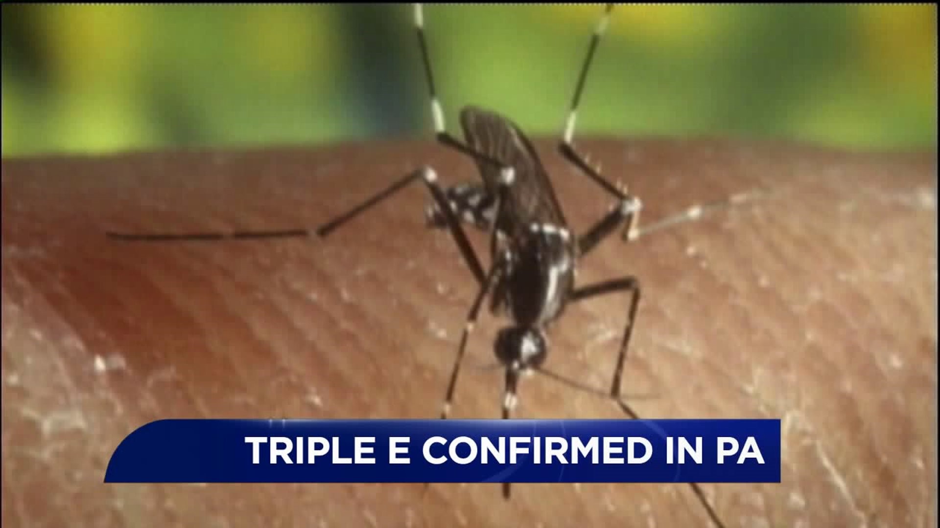 Deadly Virus Spread By Mosquitoes Confirmed in our Area