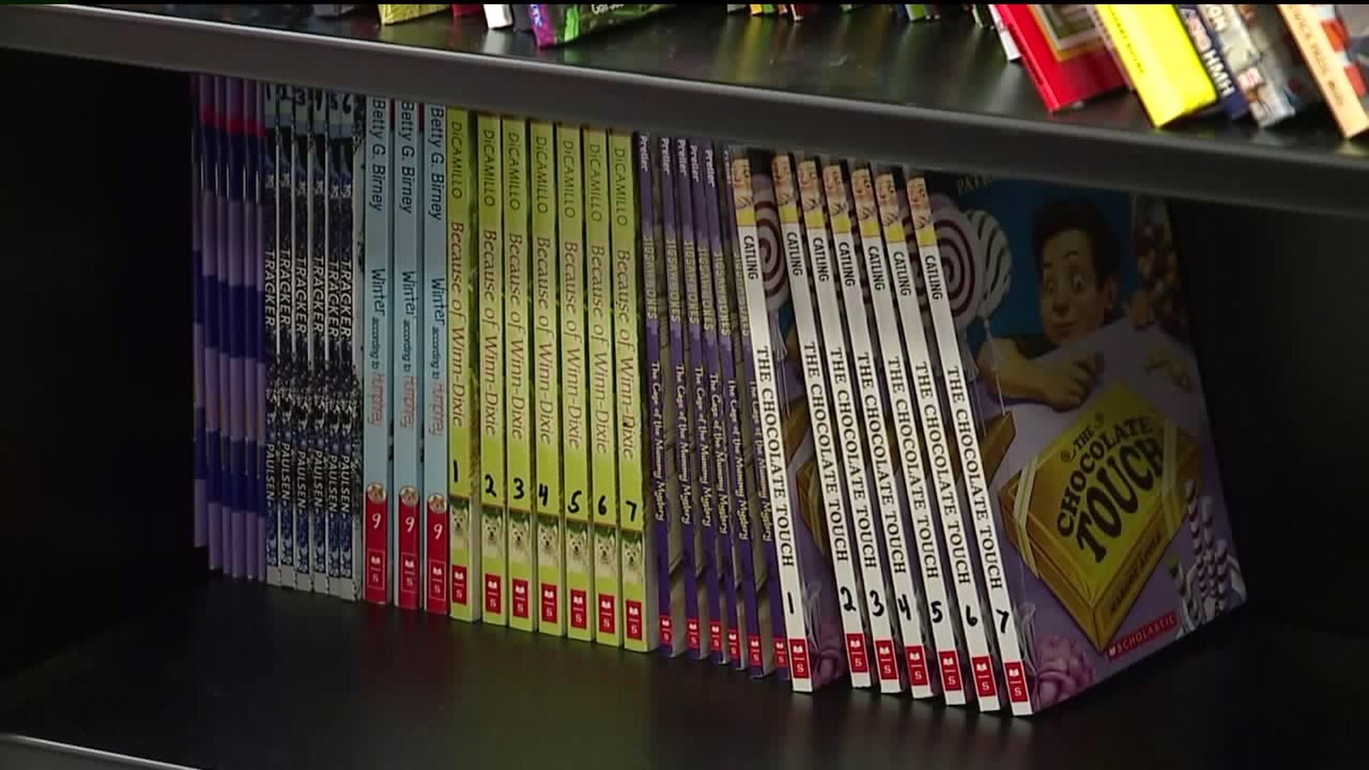 Book Donations Benefit Elementary School Plagued by Mold