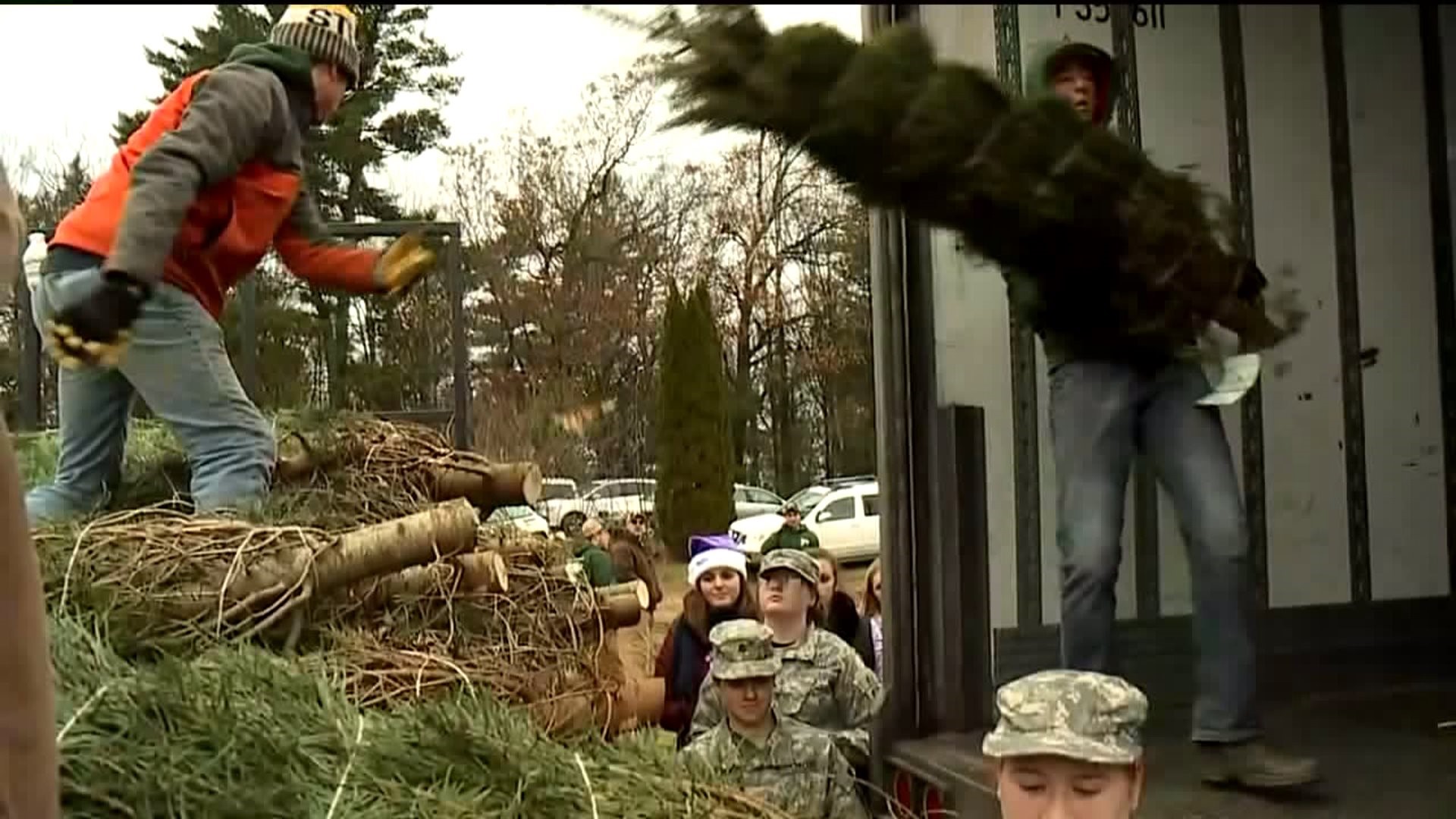Donating Trees for Troops