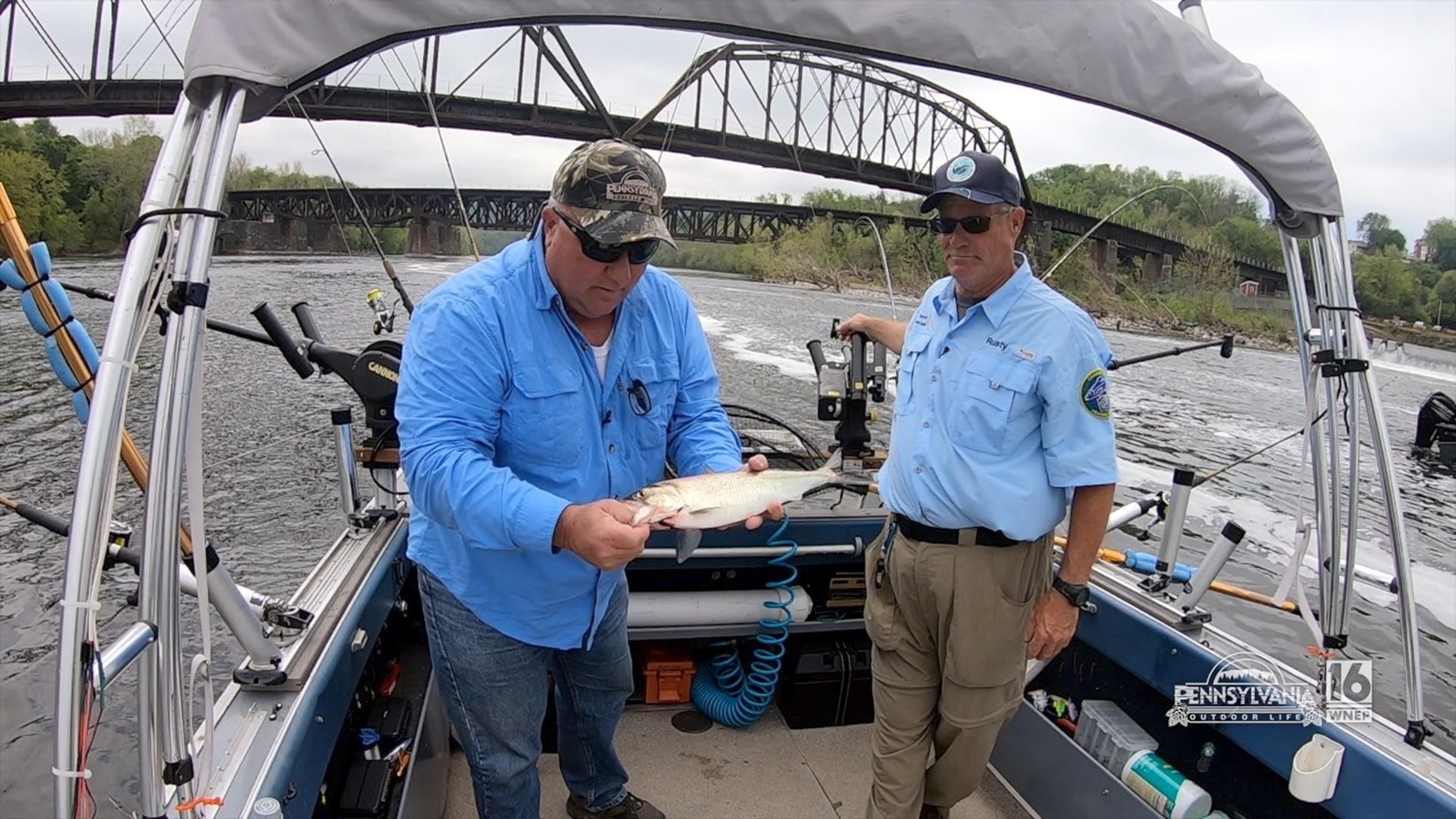 Shad fishing with an expert on the Delaware River.