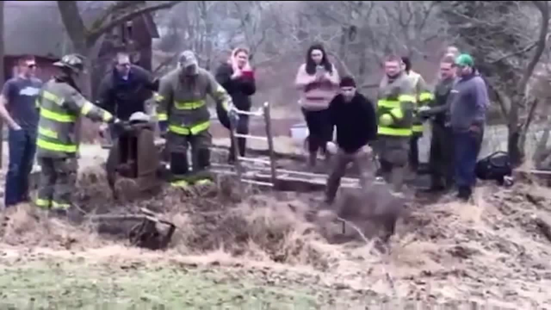 Watch as Rescuers Free Deer from Well