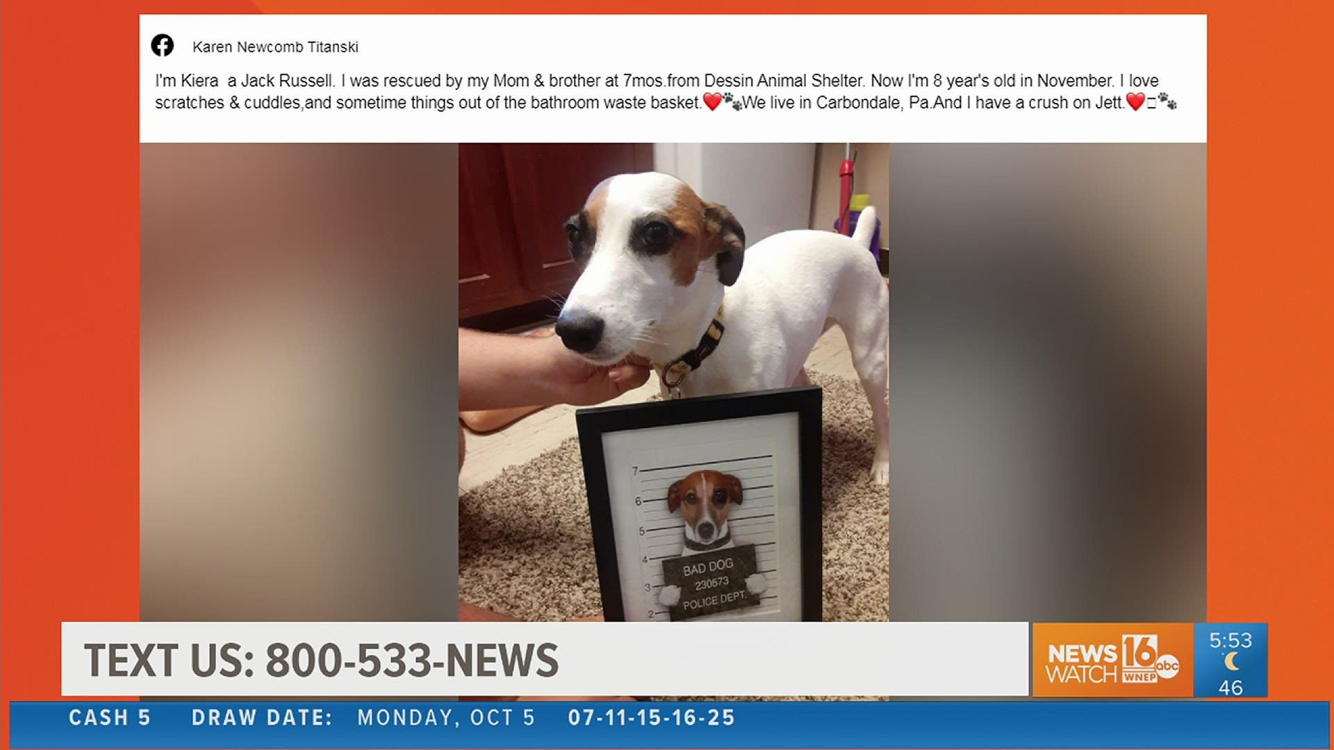 When Newswatch 16 asked to see your rescued pooches for Adopt A Shelter Dog Month, more than 340 images came in along with heartwarming stories.