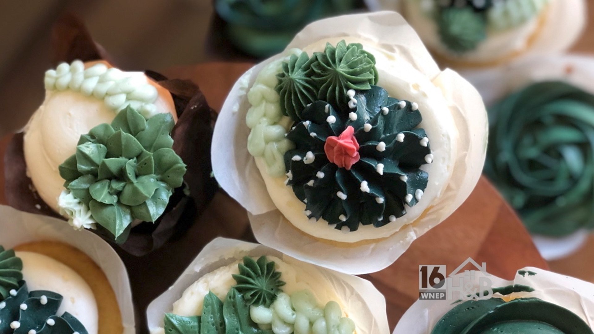 Gable House Bakery: Succulent Cupcakes