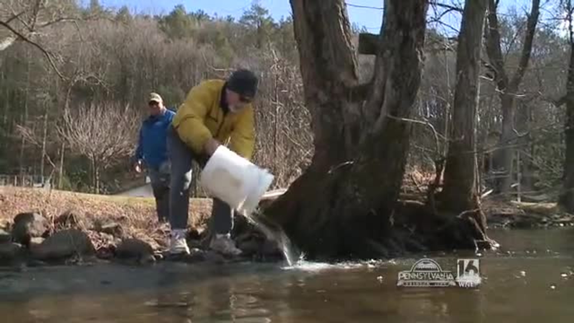 Trout Stocking the Pohopoco Creek