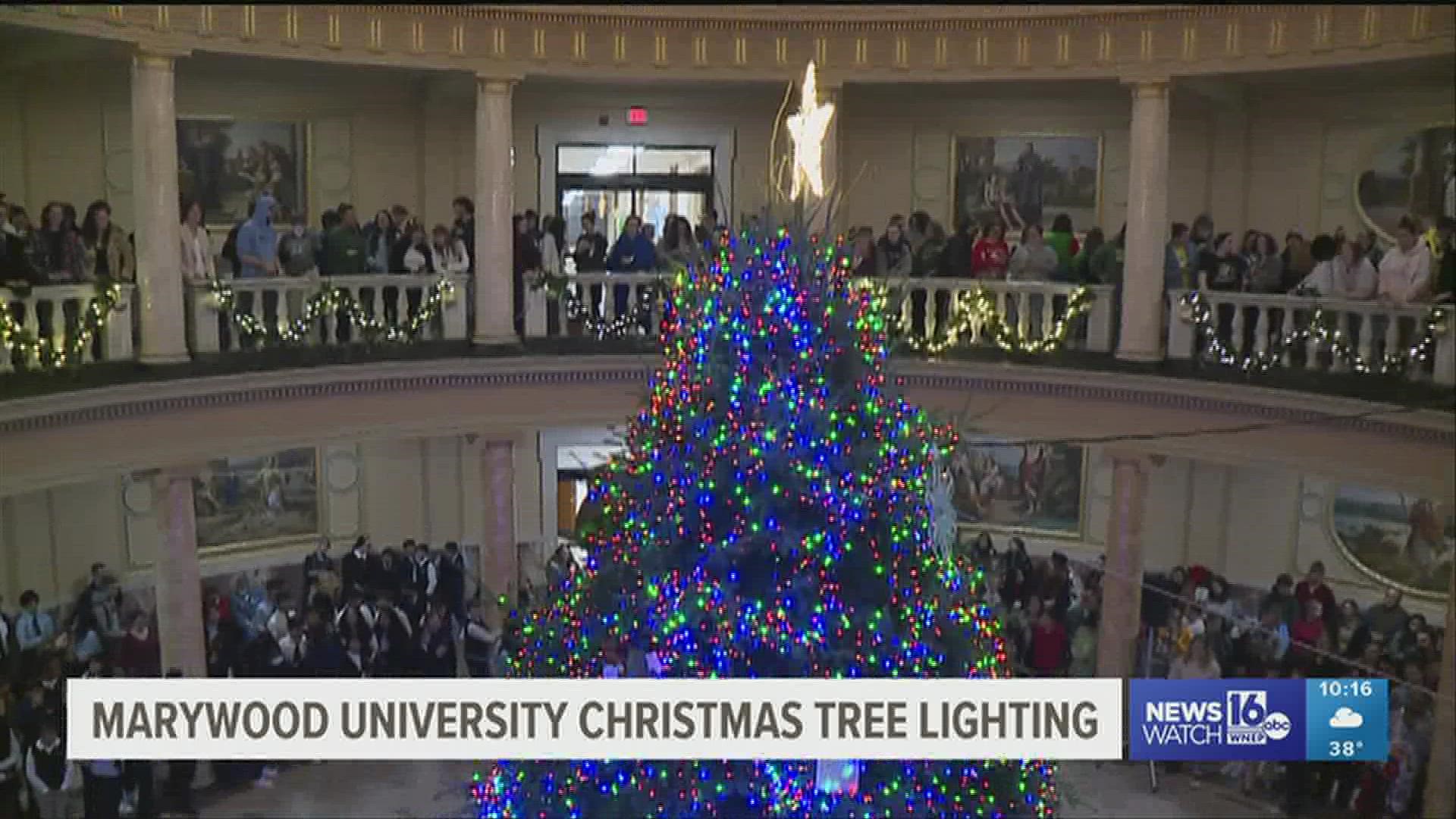 The tree is open to the public during regular business hours at Marywood University.