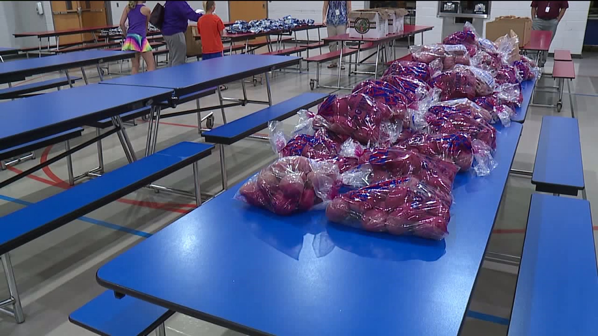Lackawanna County School Hosts Free Produce Market for Kids