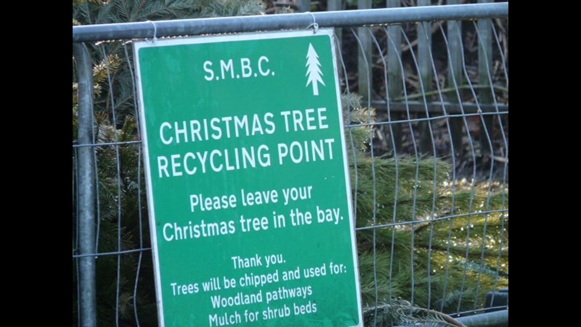 Christmas Tree Recycling Tips