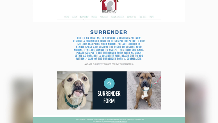 New Rules For Surrendering Animals At Blue Chip Wnep Com