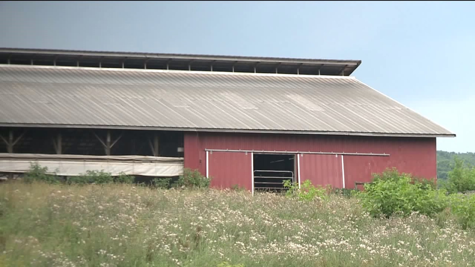 State Police: No Animal Cruelty Violations at Northumberland County Farm