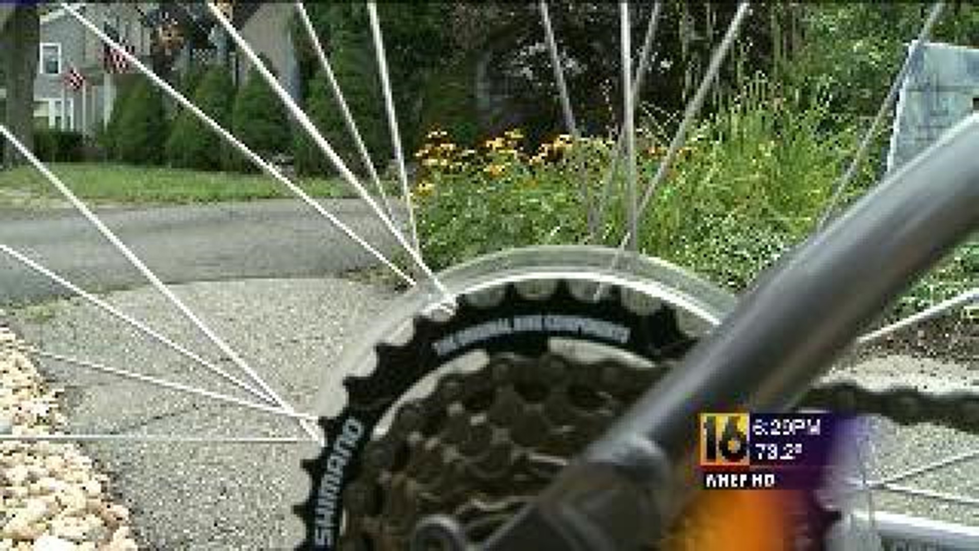 Power to Save: Bike Share Program