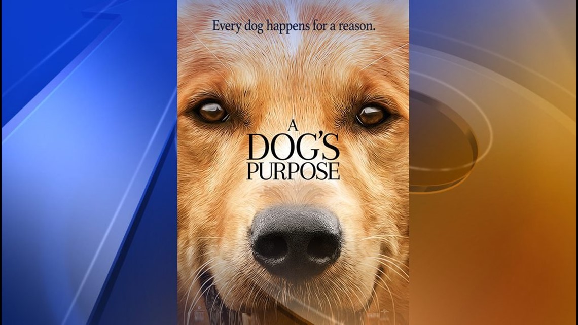a dogs purpose drowning