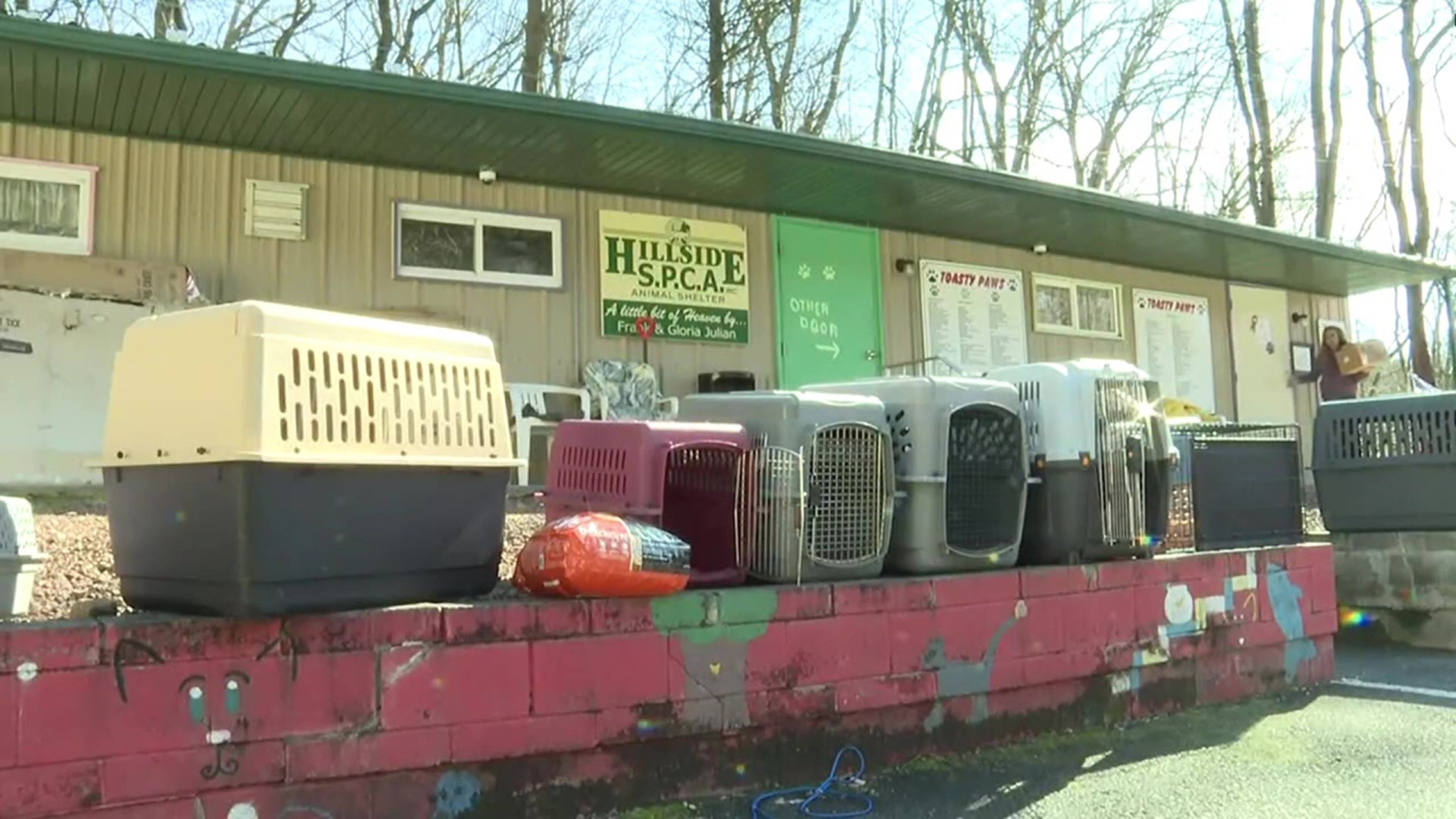 Hillside SPCA near Pottsville says it's the only shelter open in the county, so it's being hit with what it calls the "perfect storm."