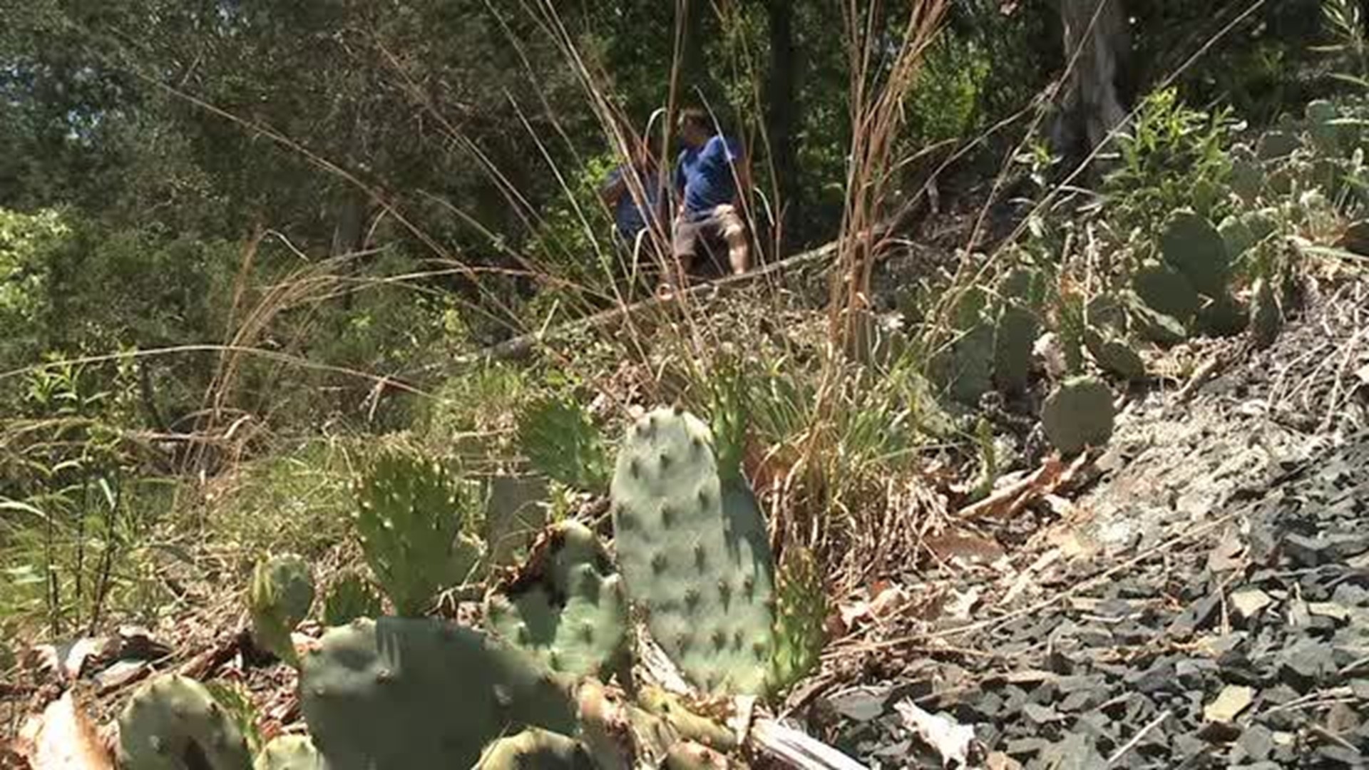 Hiking Adventure with Rick Koval