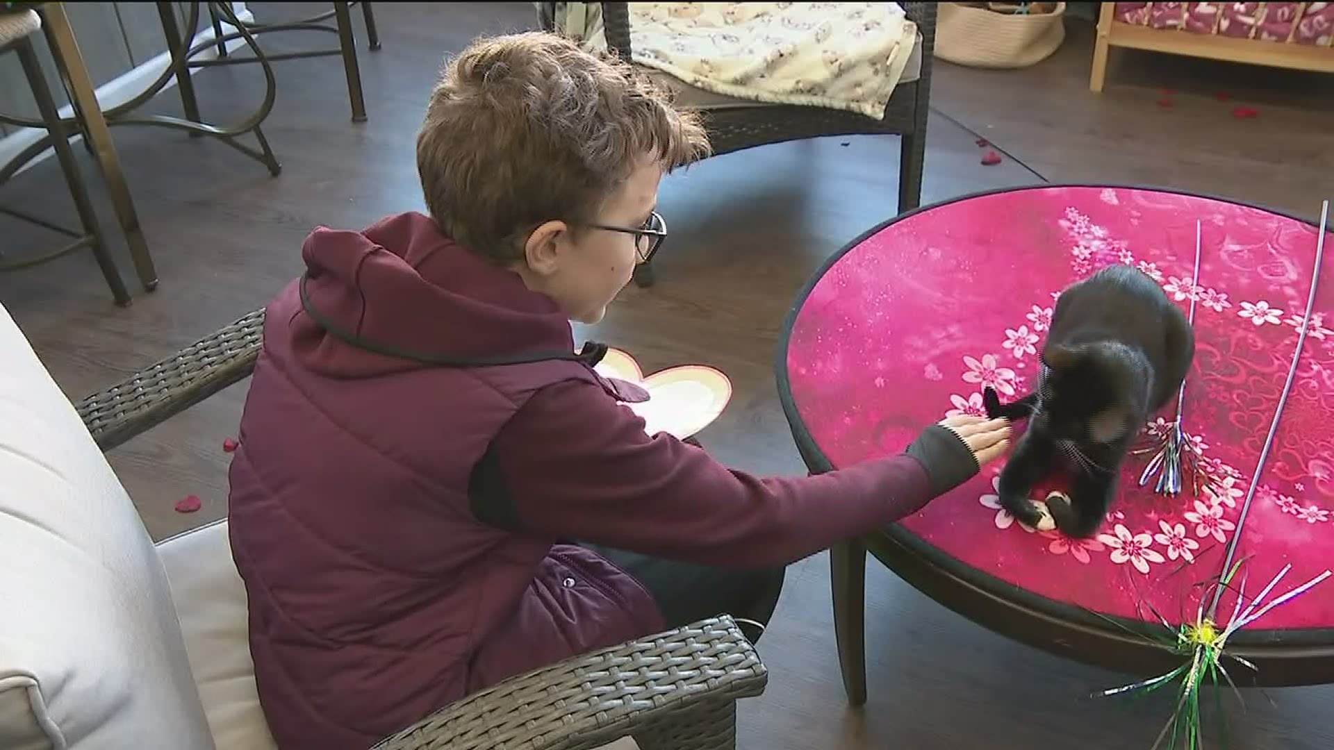 Instead of presents, he asked for donations to 'Cats in Bloom.'