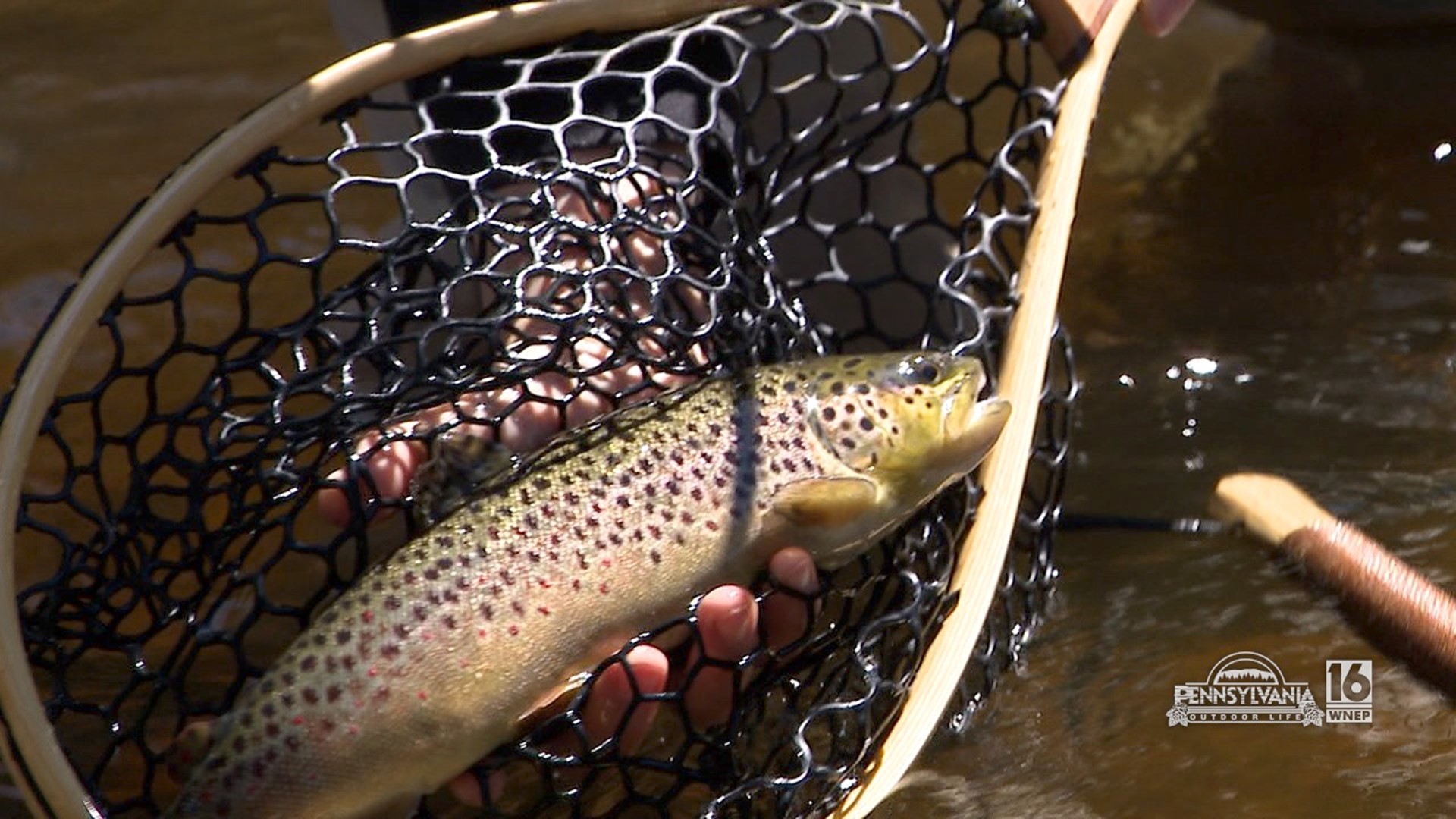 Finding peace in fly fishing.