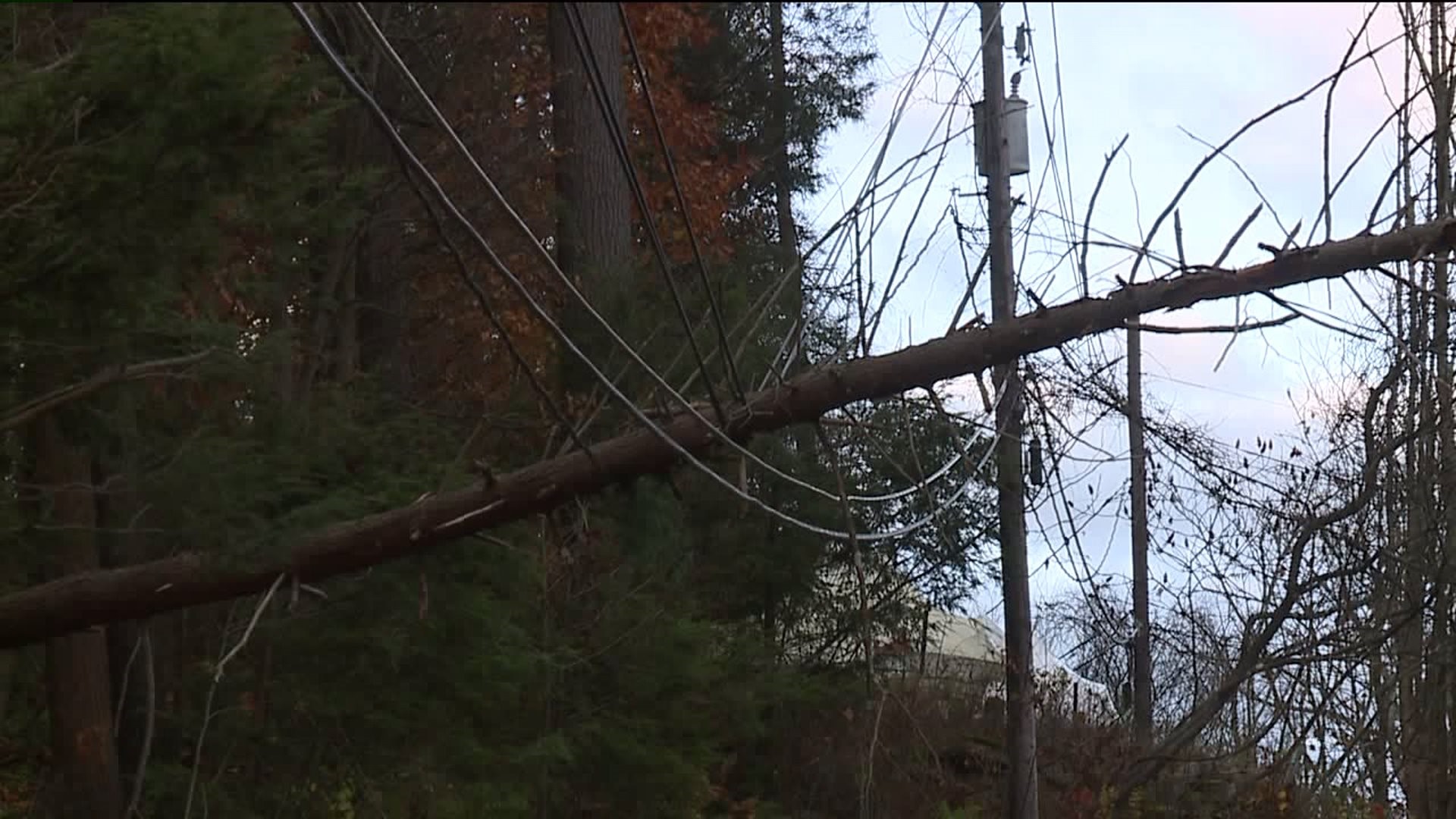 Wild Weather, Downed Lines, No Power in Lake Winola